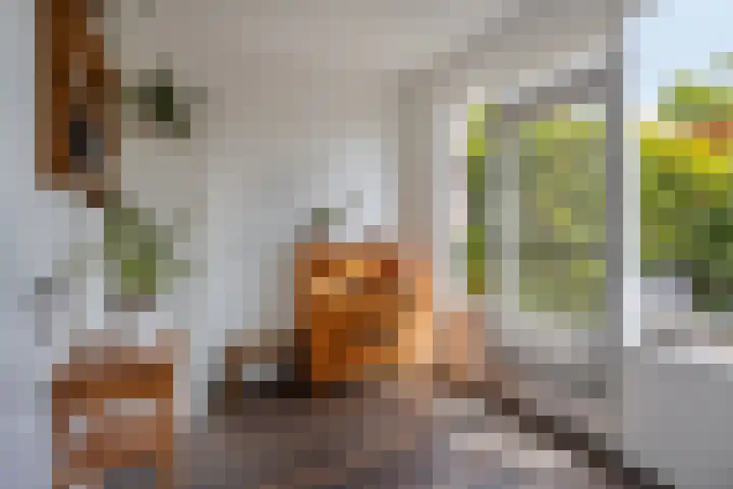 Sint Sebastiaanstraat 4 Oss thumbnail 21