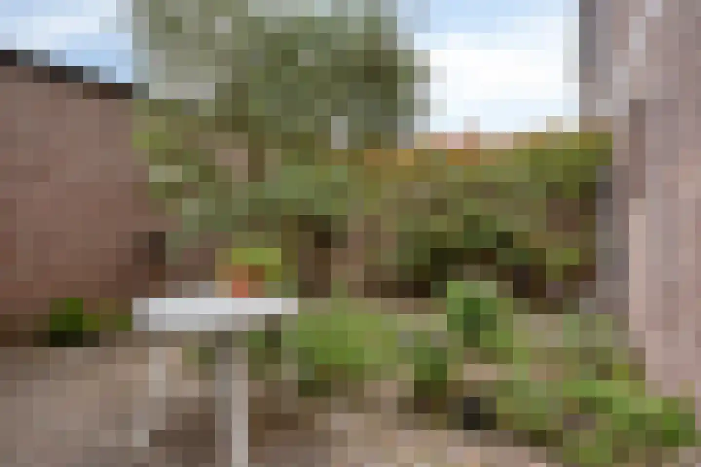 Sint Sebastiaanstraat 4 Oss thumbnail 23