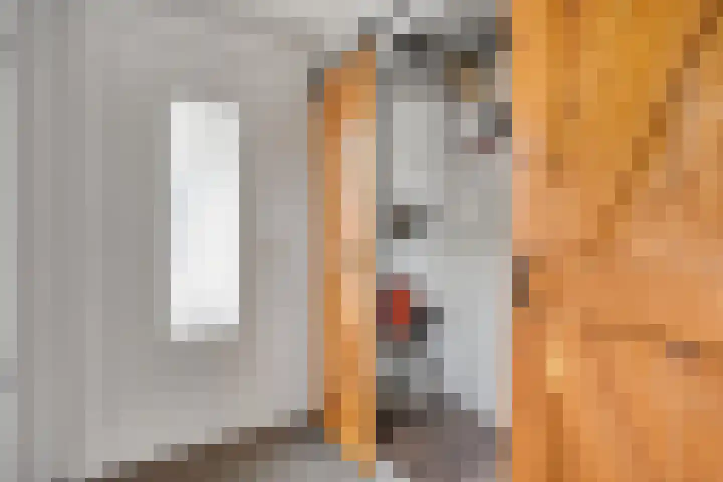 Sint Sebastiaanstraat 4 Oss thumbnail 6