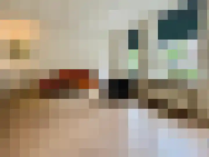 Sint Sebastiaanstraat 48 Oss thumbnail 4