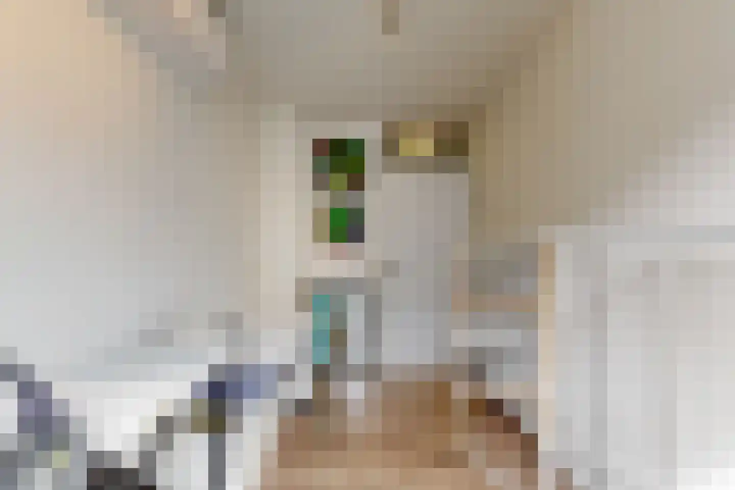 Sint Servaasbolwerk 16 Maastricht thumbnail 16
