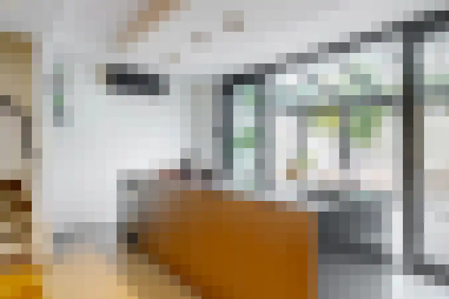 Sint Servaasbolwerk 16 Maastricht thumbnail 6