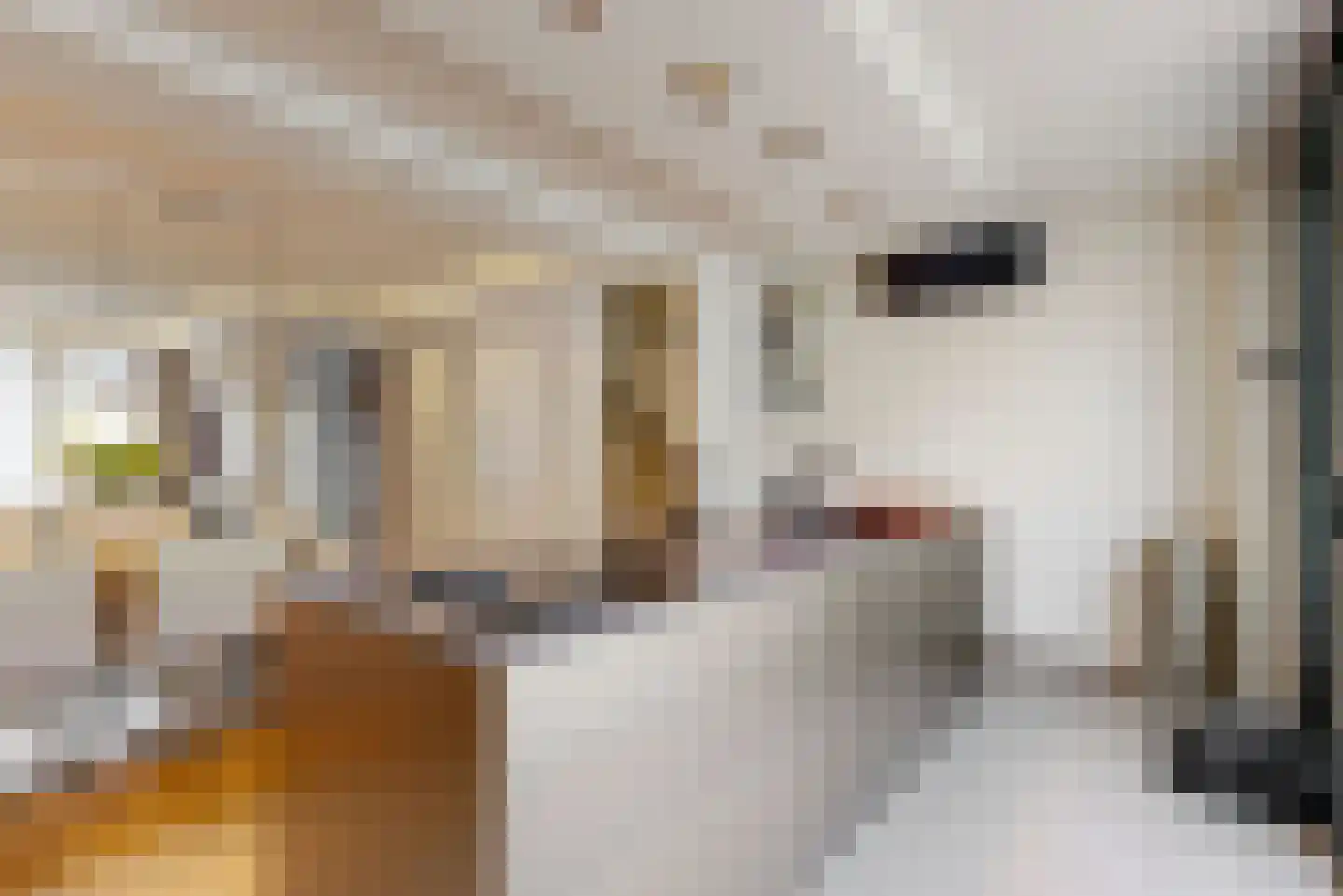 Sint Servaasbolwerk 16 Maastricht thumbnail 9
