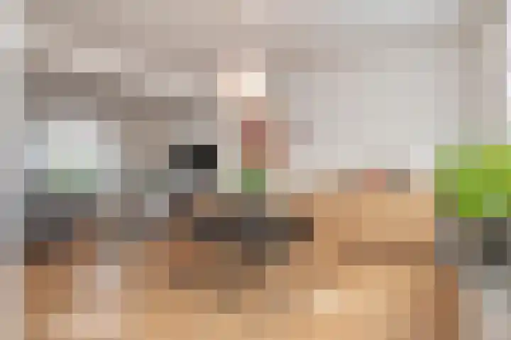 Sint Servaasbolwerk 20 Maastricht thumbnail 13
