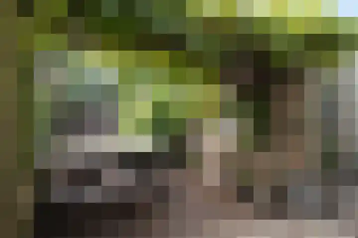 Sint Servaasbolwerk 20 Maastricht thumbnail 19