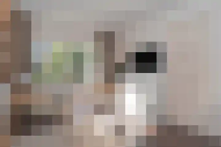 Sint Servaasbolwerk 20 Maastricht thumbnail 29