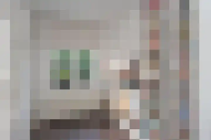 Sint Servaasbolwerk 20 Maastricht thumbnail 30