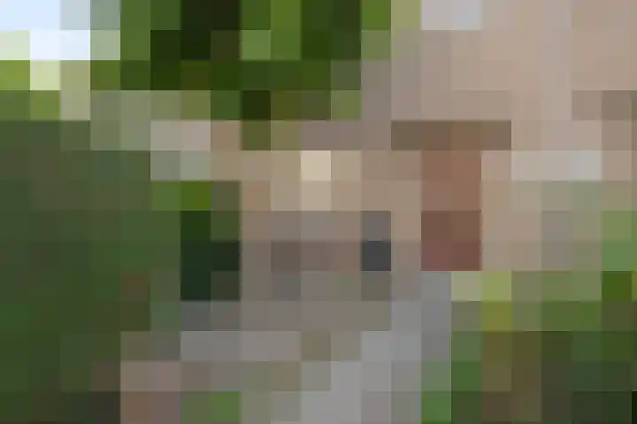 Sint Servaasbolwerk 20 Maastricht thumbnail 4