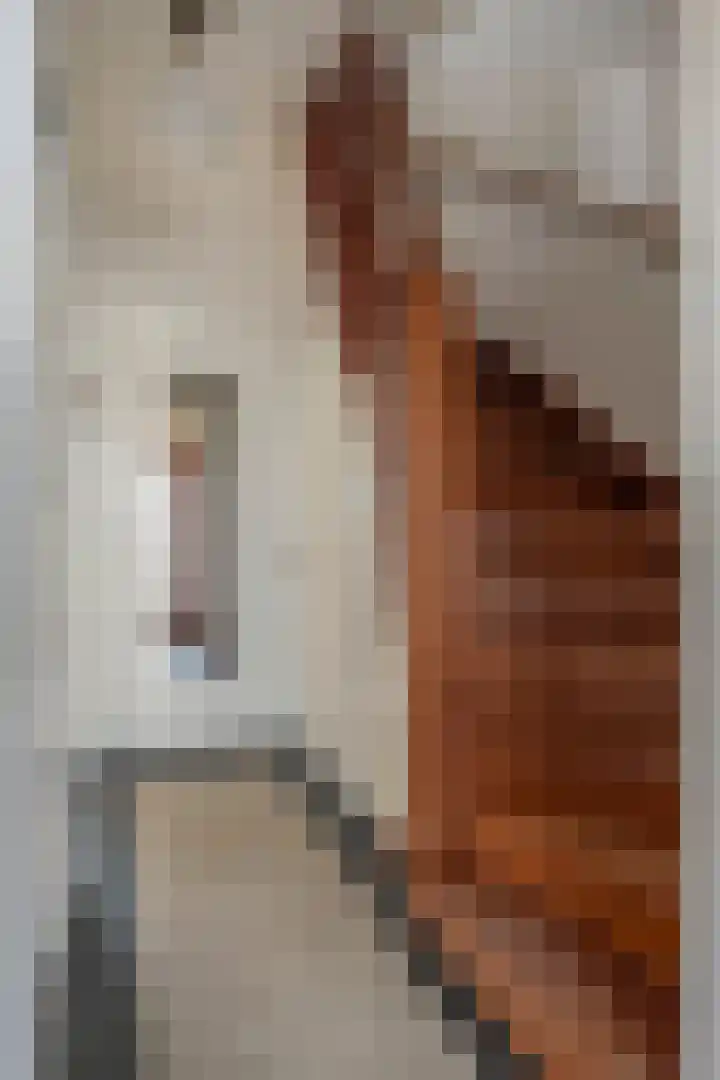 Sint Servaasbolwerk 20 Maastricht thumbnail 6