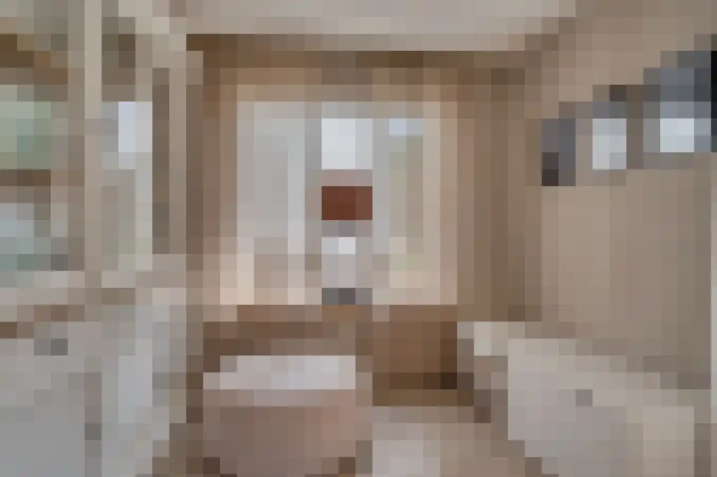Sint Servatiusstraat 7 Venlo thumbnail 10