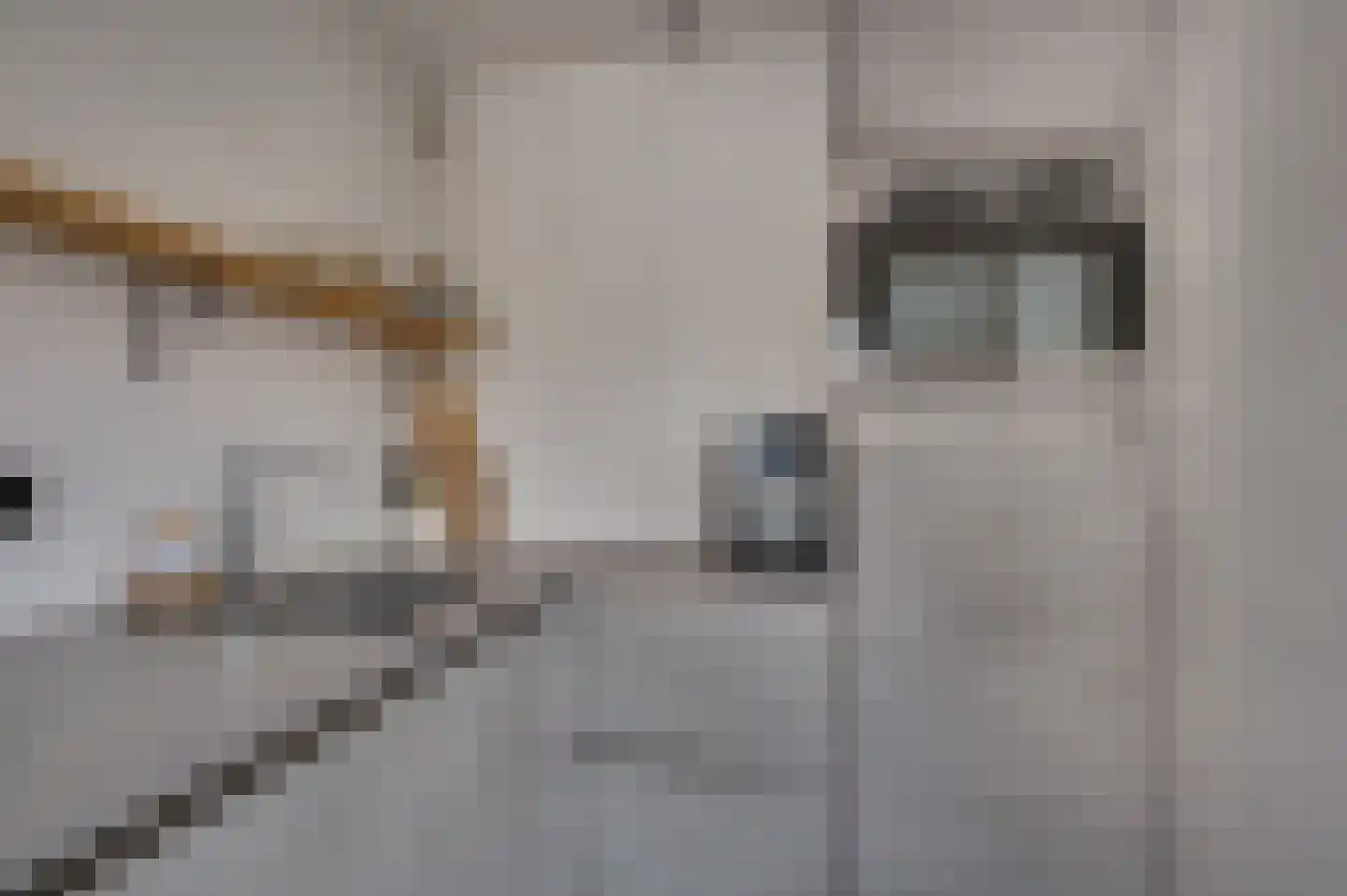 Sint Servatiusstraat 7 Venlo thumbnail 17