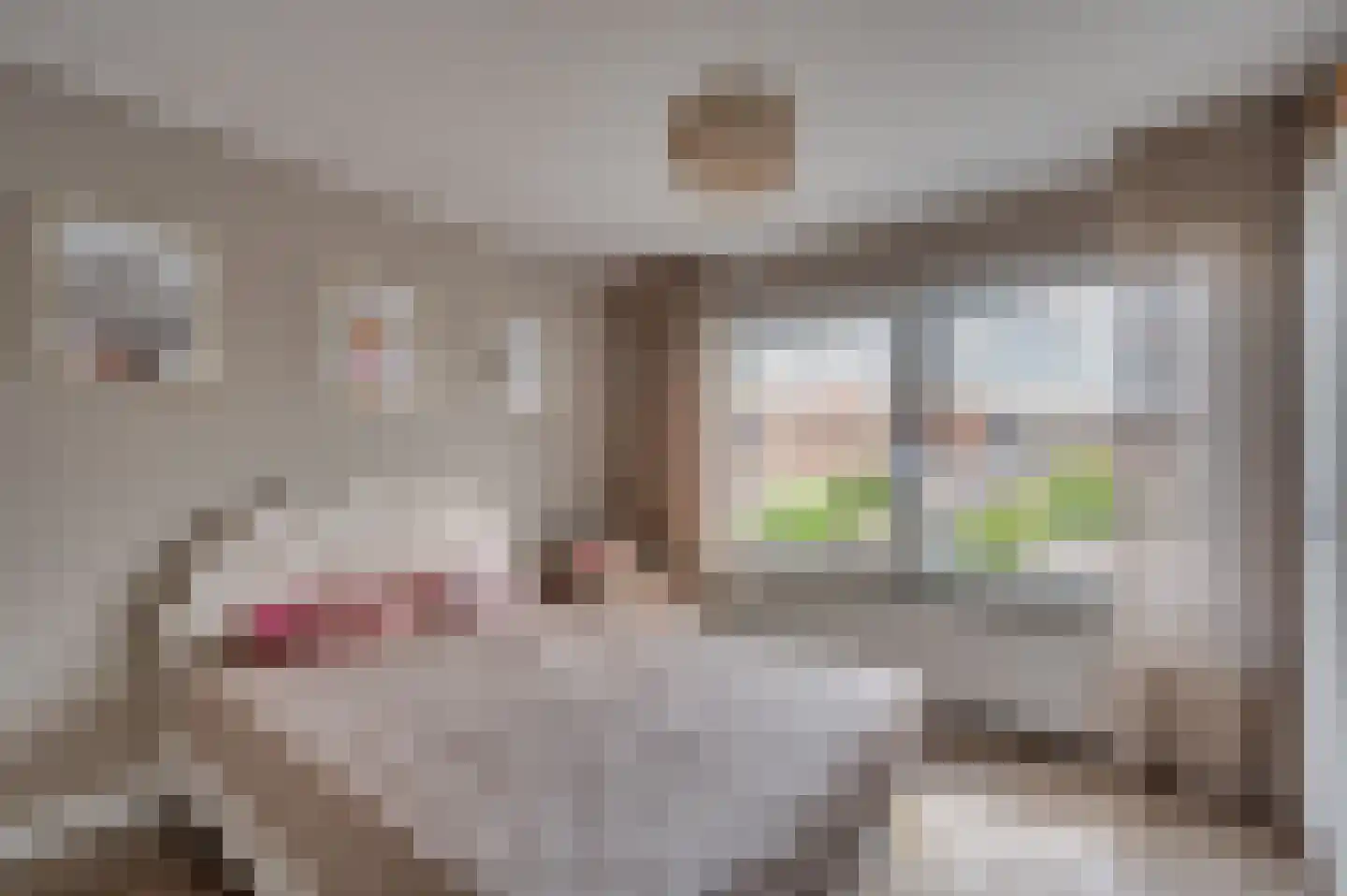 Sint Servatiusstraat 7 Venlo thumbnail 25