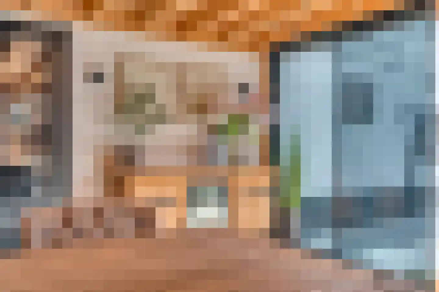 Sint Servatiusstraat 7 Venlo thumbnail 50