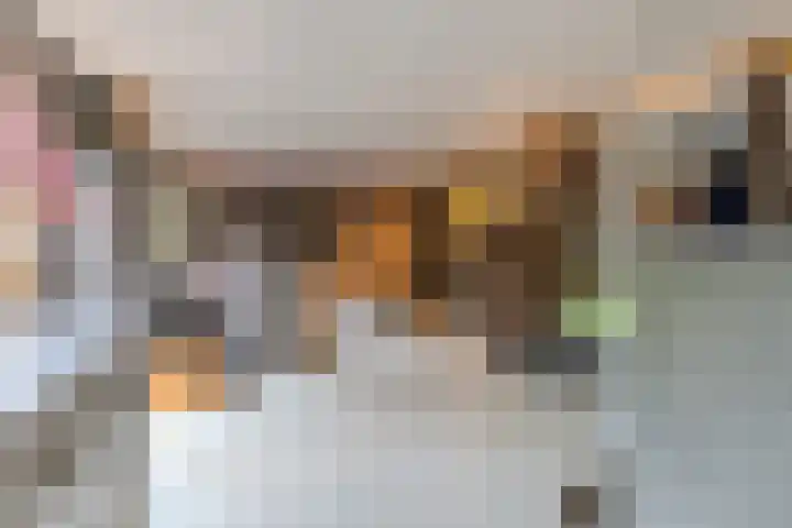 Sint Servatiusweg 18 Maastricht thumbnail 26