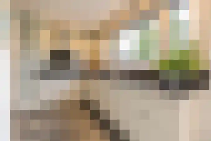 Sint Servatiusweg 18 Maastricht thumbnail 4