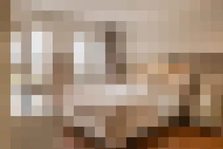 Sint Servatiusweg 18 Maastricht thumbnail 5