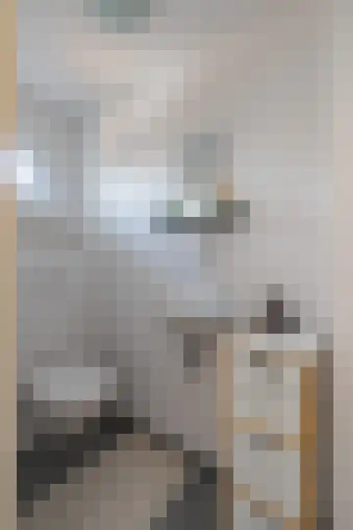 Sint Servatiusweg 63 Maastricht thumbnail 9