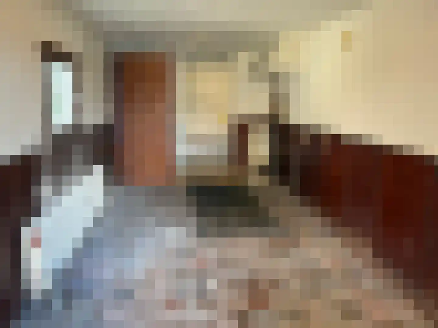 Sint Servatiusweg 65 Maastricht thumbnail 14