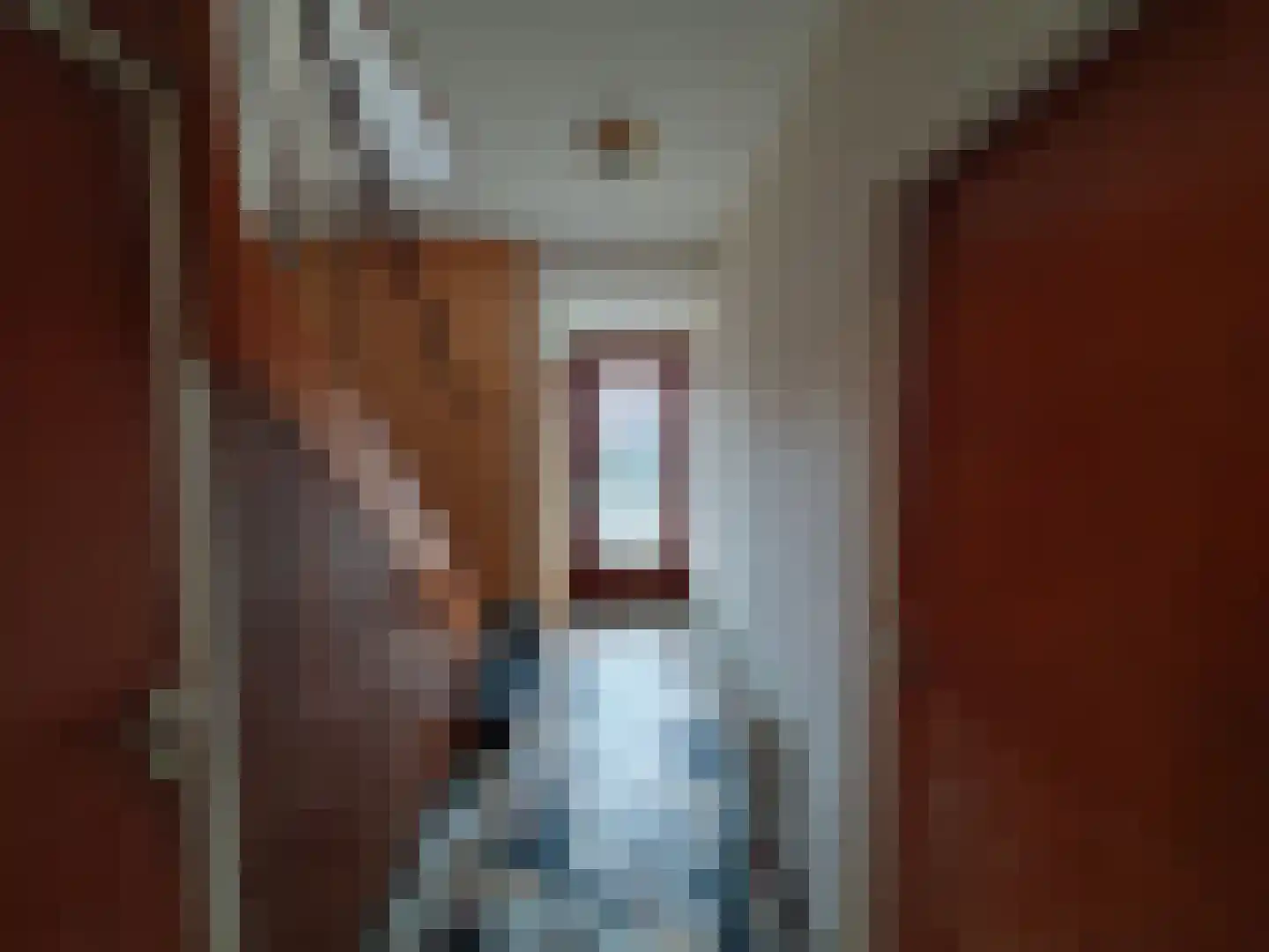 Sint Servatiusweg 65 Maastricht thumbnail 4