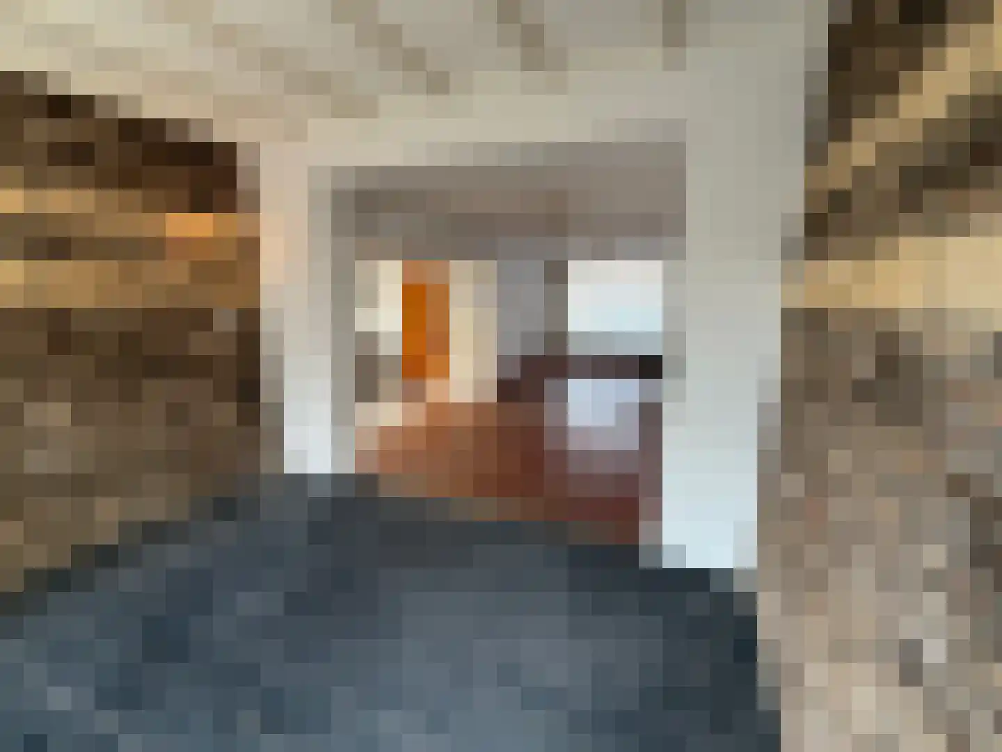 Sint Servatiusweg 65 Maastricht thumbnail 6