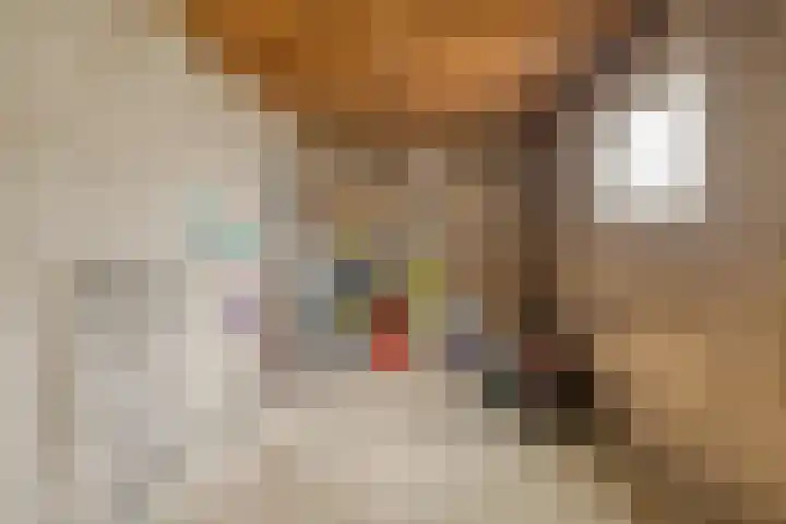 Sint Servatiusweg 86 Maastricht thumbnail 21