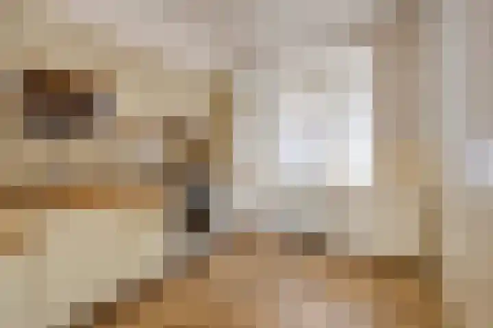 Sint Servatiusweg 86 Maastricht thumbnail 9