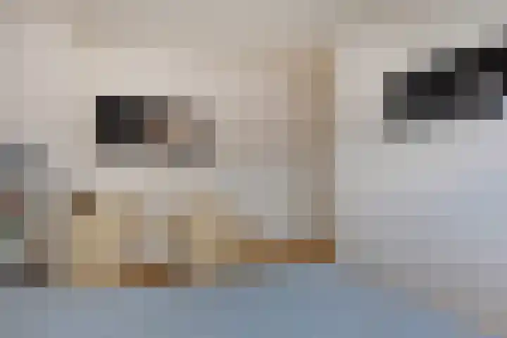 Sint Severinuslaan 15 Veldhoven thumbnail 12