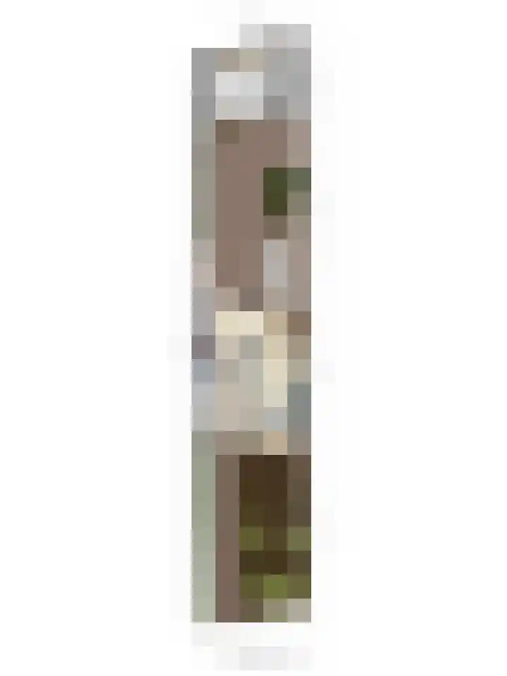 Sint Severinuslaan 15 Veldhoven thumbnail 24