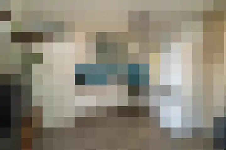 Sint Severushof 1 Tilburg thumbnail 13