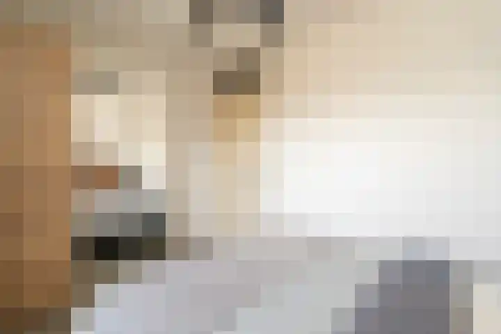 Sint Severushof 1 Tilburg thumbnail 17