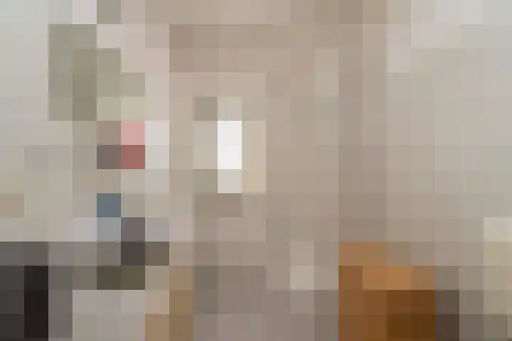 Sint Severushof 1 Tilburg thumbnail 18
