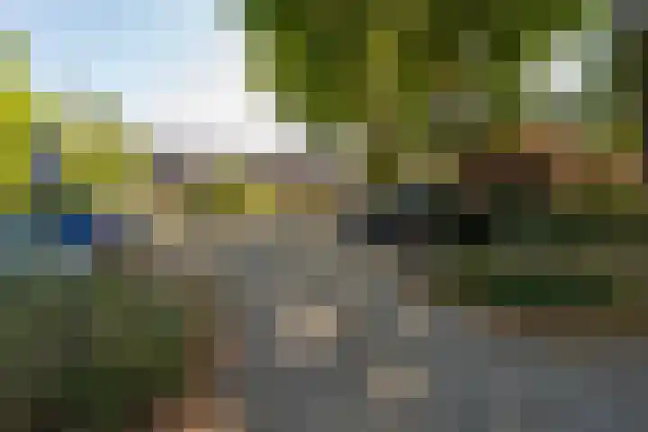 Sint Severushof 1 Tilburg thumbnail 23