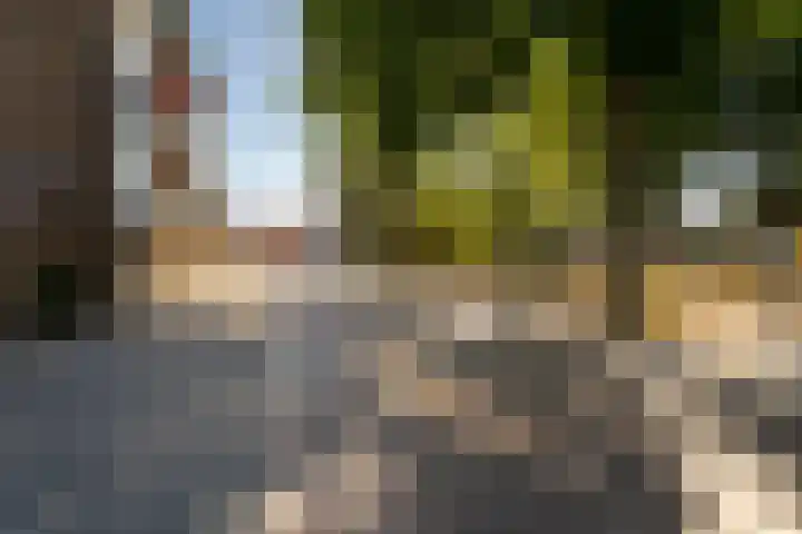 Sint Severushof 1 Tilburg thumbnail 24