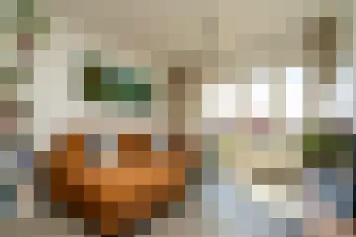 Sint Severushof 1 Tilburg thumbnail 4
