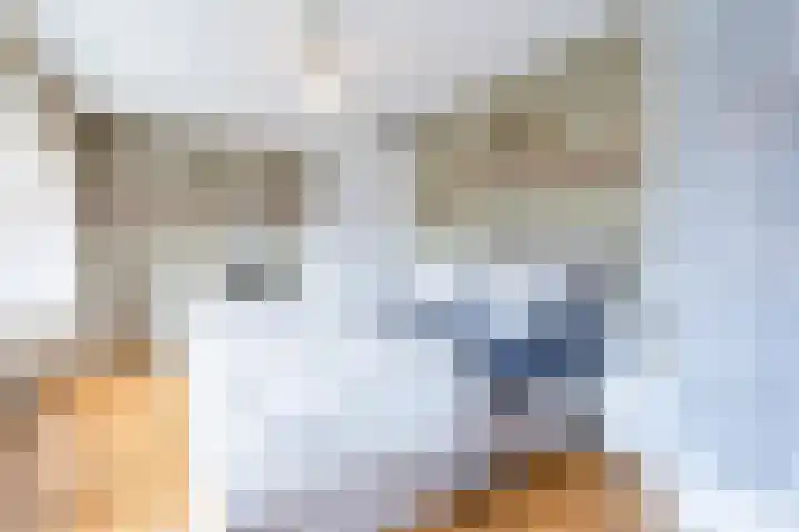 Sint Severushof 6 Tilburg thumbnail 10