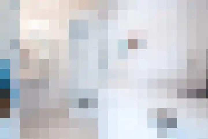 Sint Severushof 6 Tilburg thumbnail 11