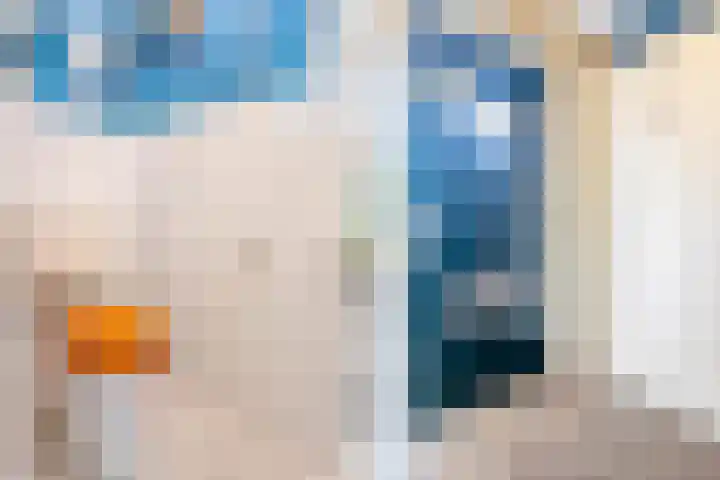 Sint Severushof 6 Tilburg thumbnail 13