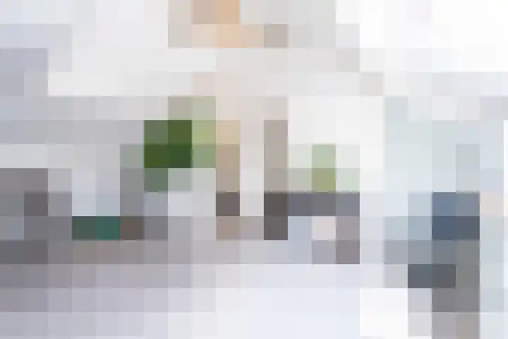 Sint Severushof 6 Tilburg thumbnail 17