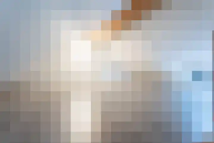 Sint Severushof 6 Tilburg thumbnail 20