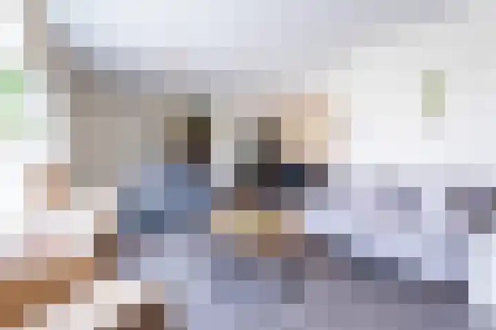Sint Severushof 6 Tilburg thumbnail 5