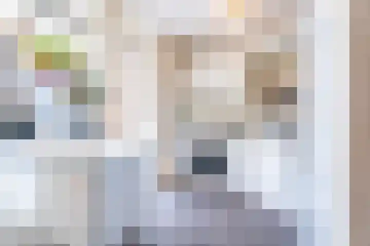 Sint Severushof 6 Tilburg thumbnail 7