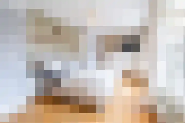 Sint Severushof 6 Tilburg thumbnail 9