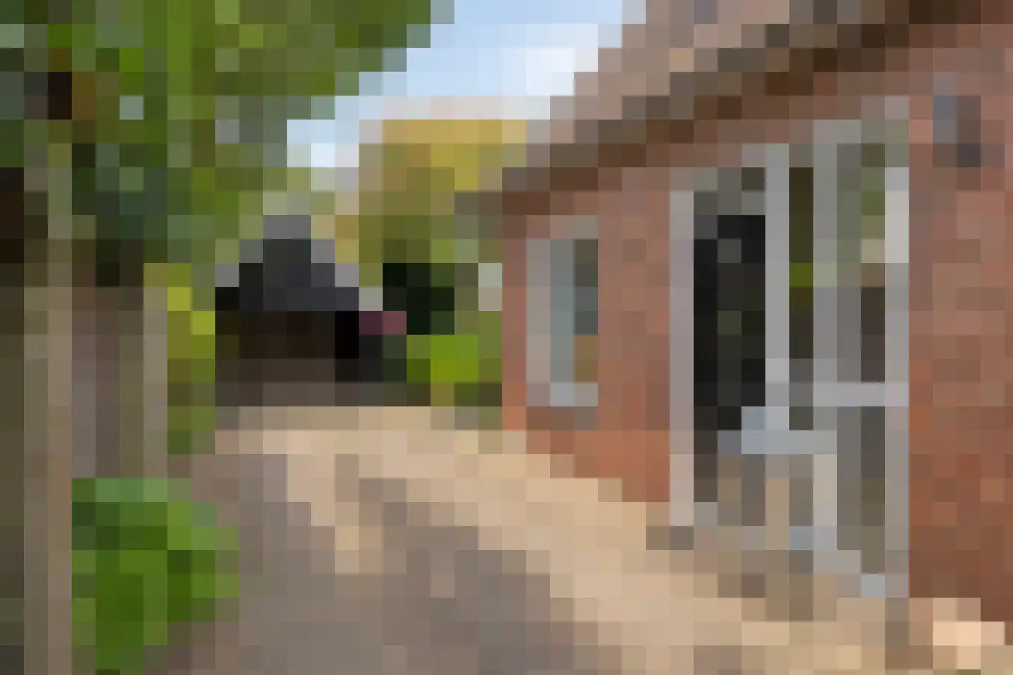 Sint Stephanusstraat 1 Zenderen thumbnail 11