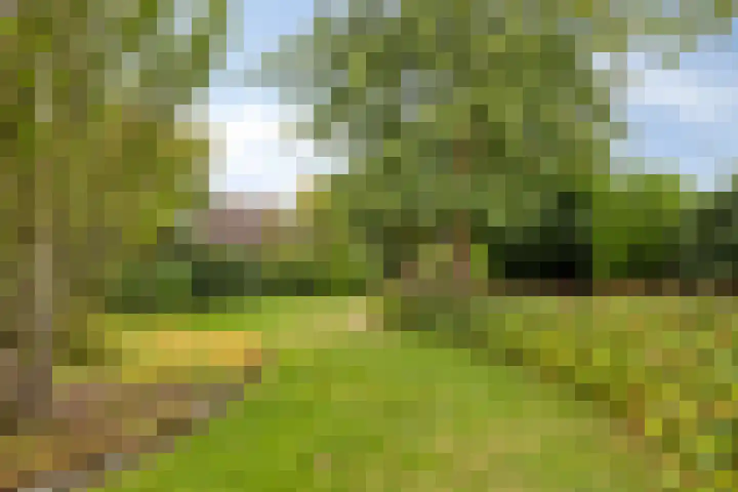 Sint Stephanusstraat 1 Zenderen thumbnail 43