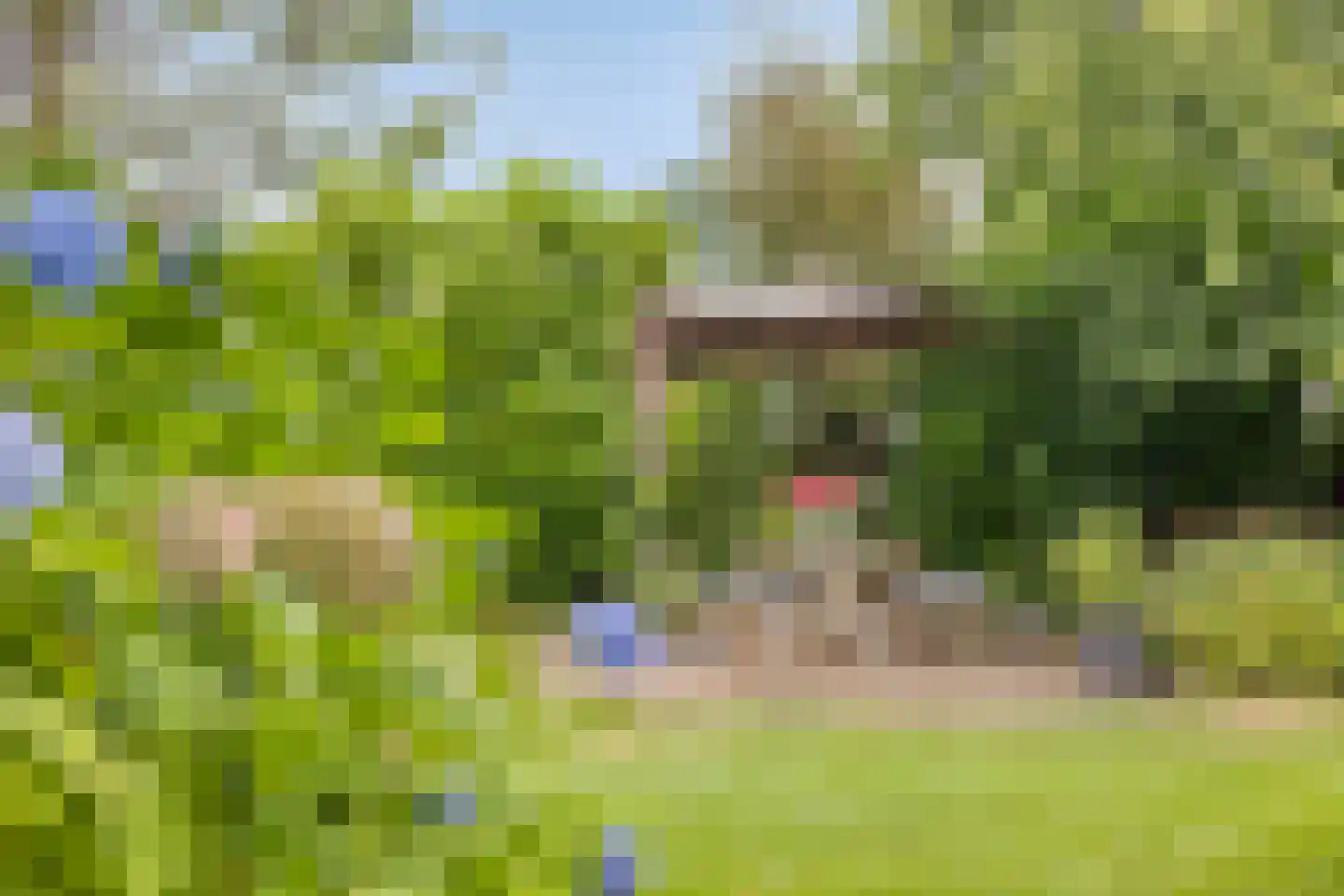 Sint Stephanusstraat 1 Zenderen thumbnail 46