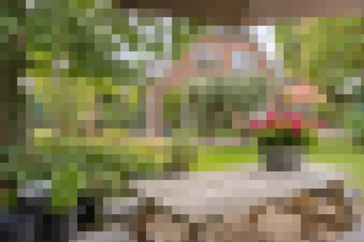 Sint Stephanusstraat 1 Zenderen thumbnail 6