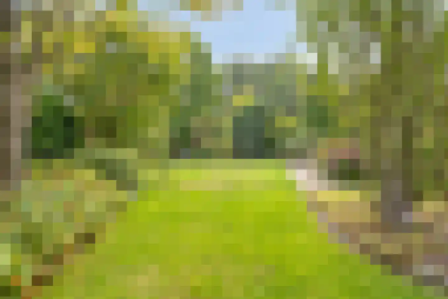 Sint Stephanusstraat 1 Zenderen thumbnail 8