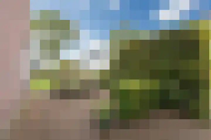 Sint Stephanusstraat 12 Didam thumbnail 12