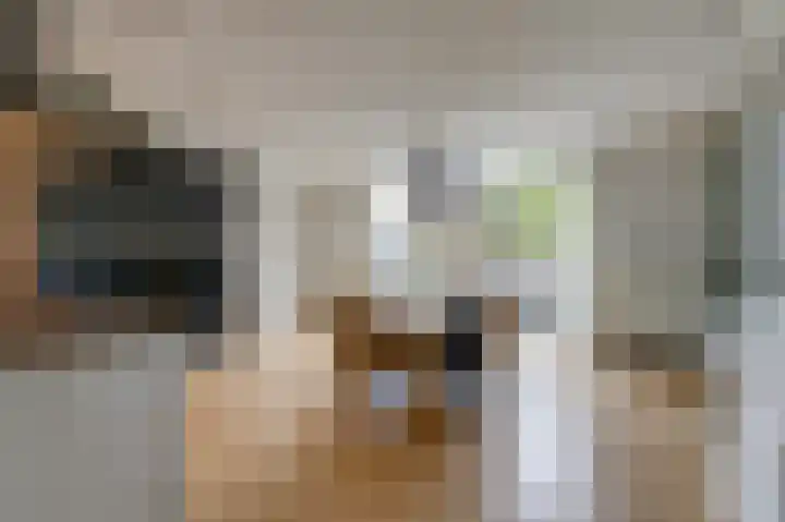 Sint Stephanusstraat 12 Didam thumbnail 23