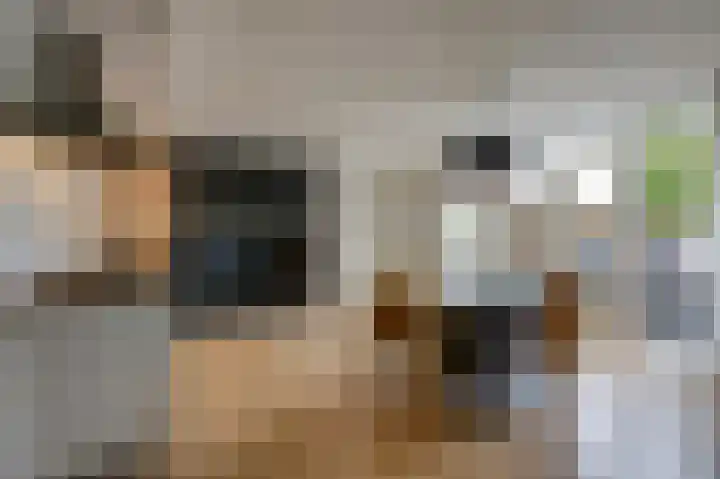 Sint Stephanusstraat 12 Didam thumbnail 24